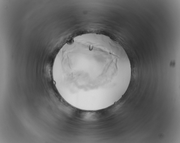 X0000114150575200911051445