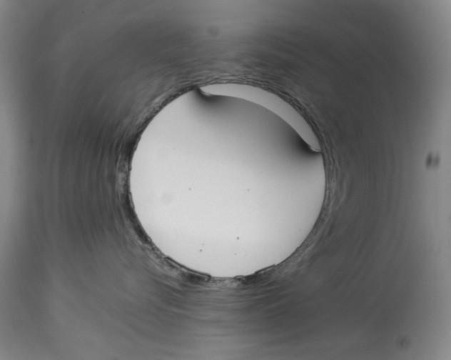 X0000114150576200911051445