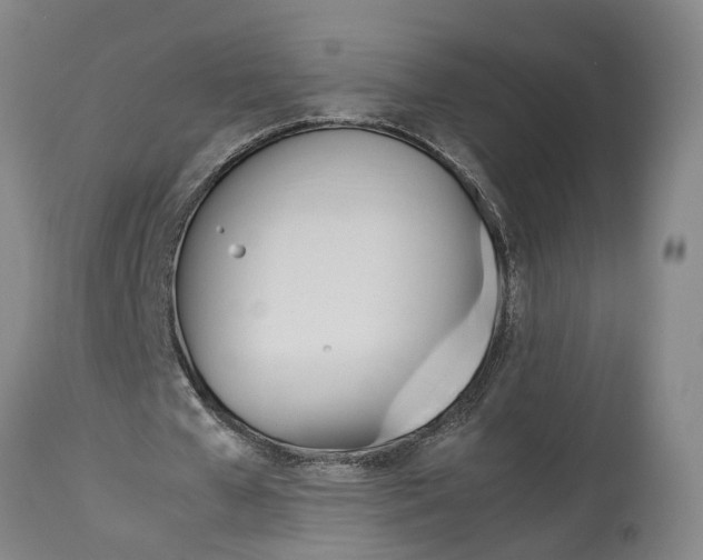 X0000114150577200911051444
