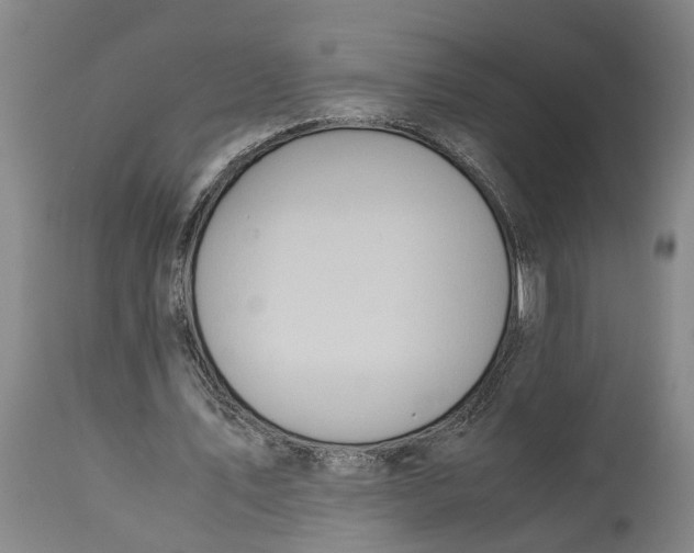 X0000114150579200911051444
