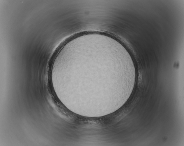 X0000114150580200911051444
