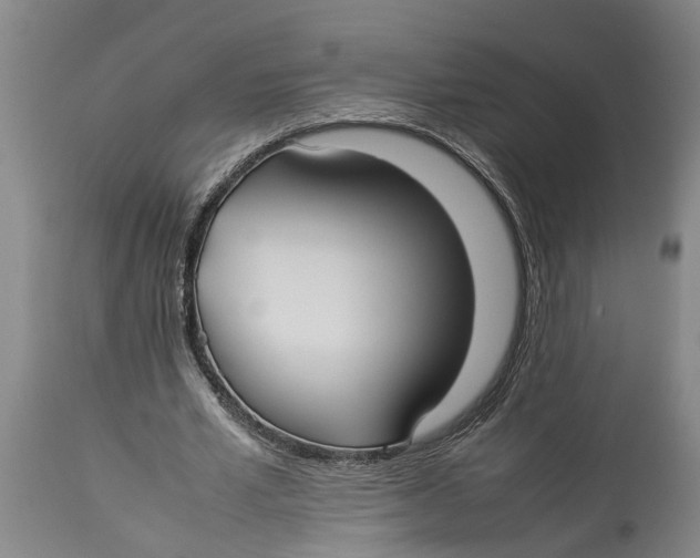 X0000114150581200911051444