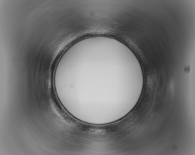 X0000114150582200911051444