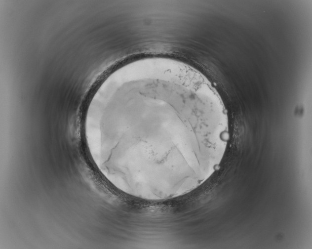 X0000114150584200911051444