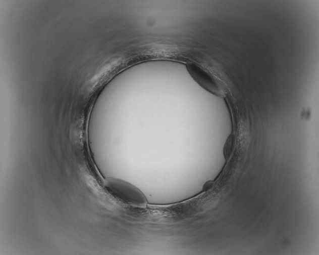 X0000114150585200911051444
