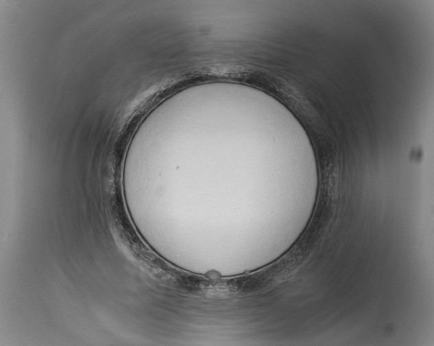 X0000114150587200911051444