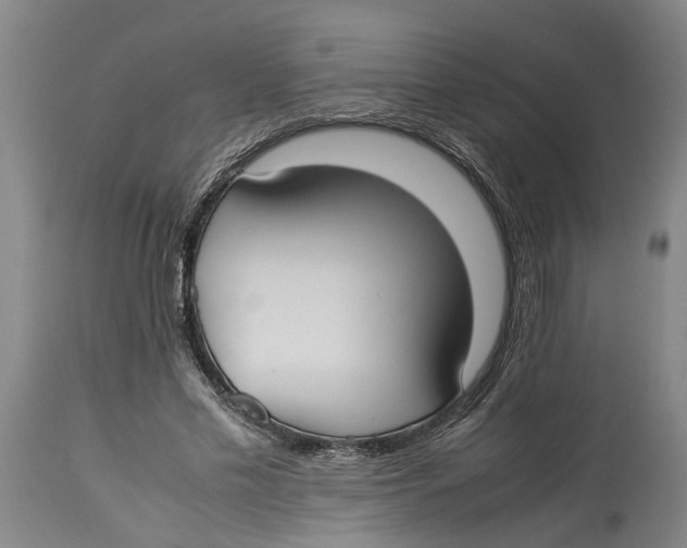 X0000114150589200911051444