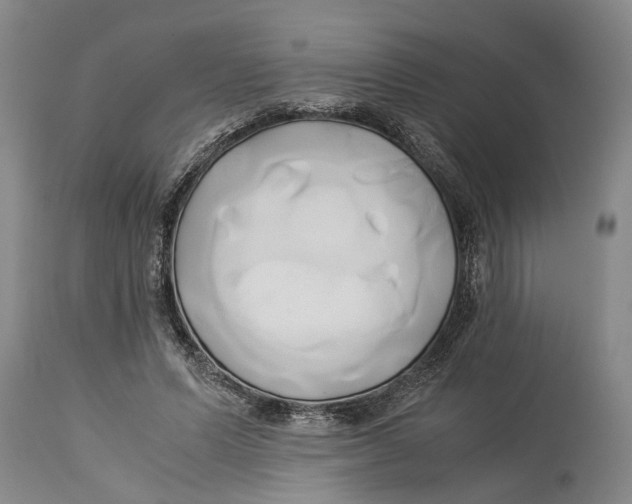 X0000114150591200911051444