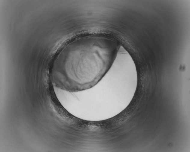X0000114150592200911051444