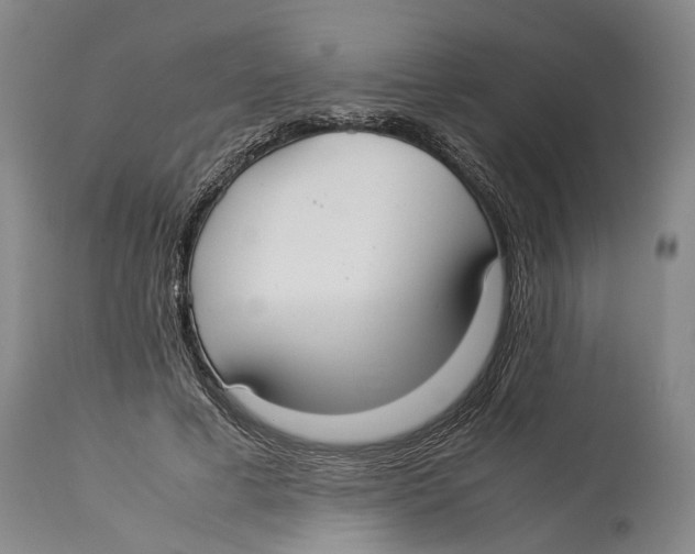X0000114150593200911051444