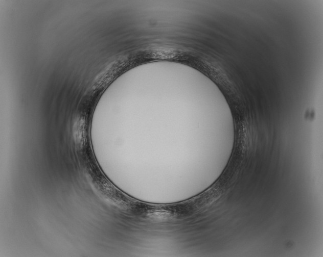 X0000114150598200911051444