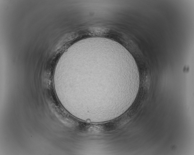 X0000114150599200911051444