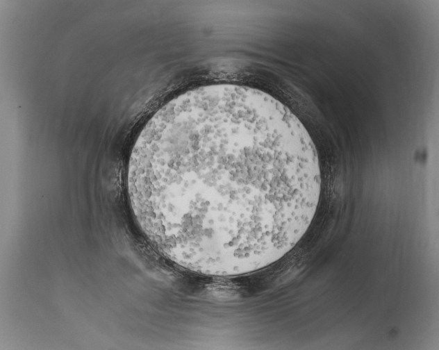 X0000114150603200911051444