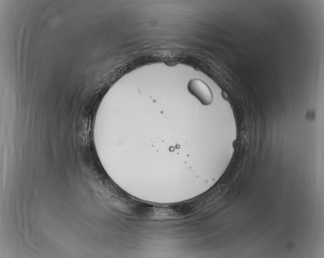 X0000114150605200911051444