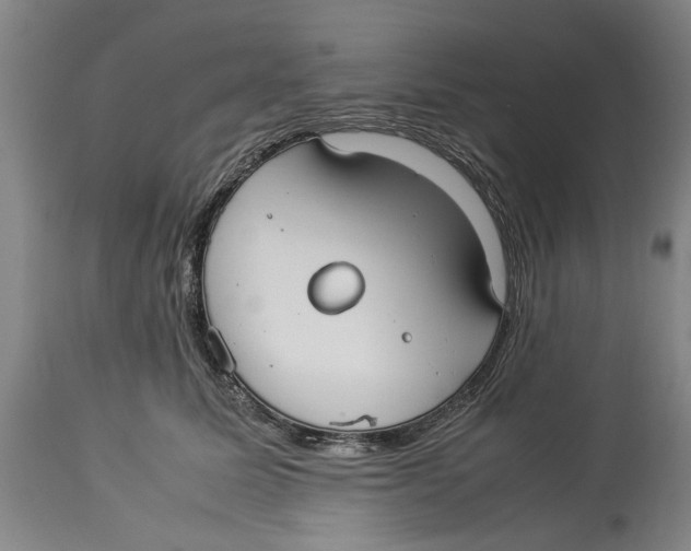 X0000114150611200911051444