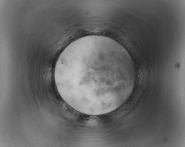 X0000114150612200911051444