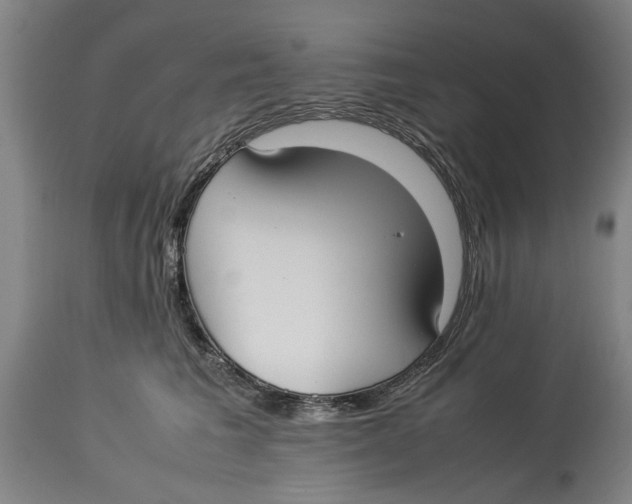 X0000114150613200911051444
