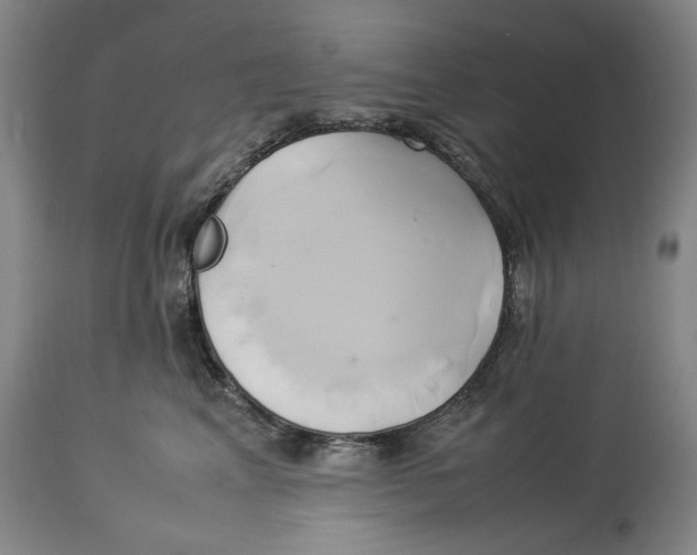 X0000114150617200911051444