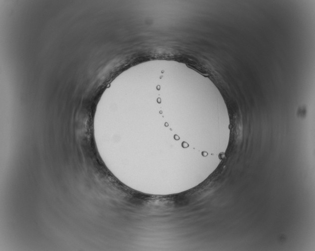 X0000114150619200911051444