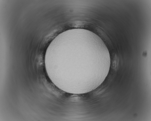 X0000114150620200911051444
