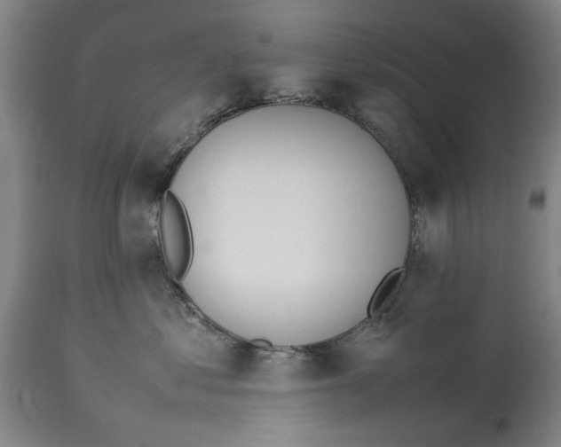 X0000114150621200911051444