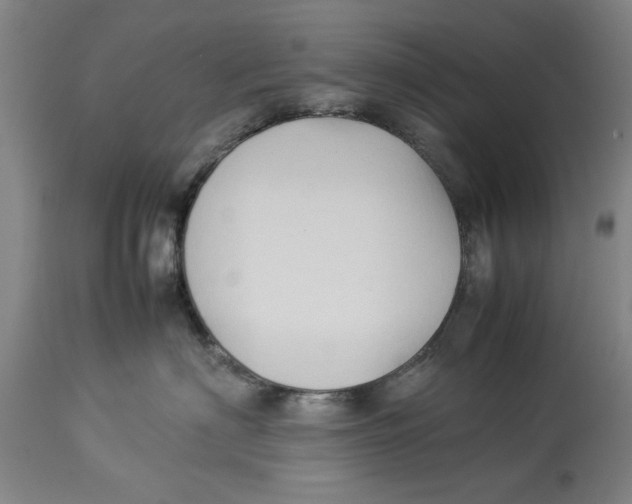 X0000114150622200911051444
