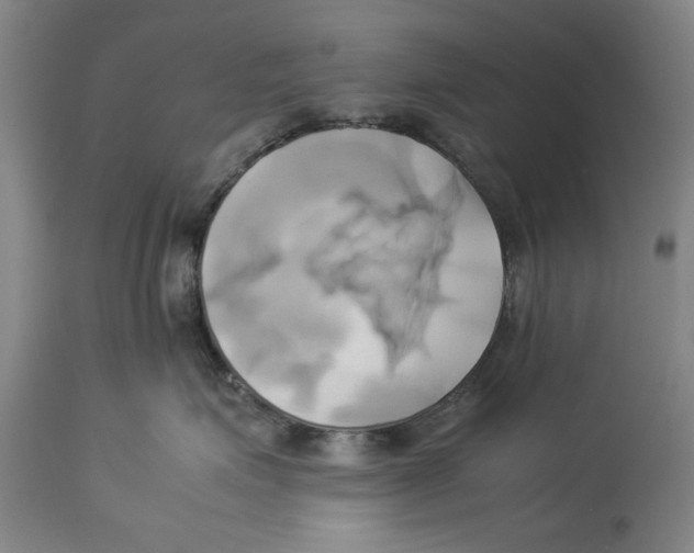X0000114150623200911051444