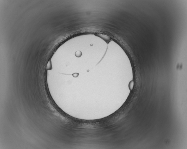X0000114150625200911051443