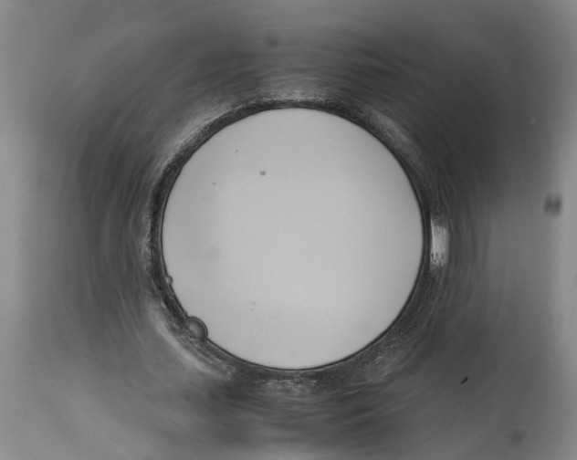 X0000114150627200911051443