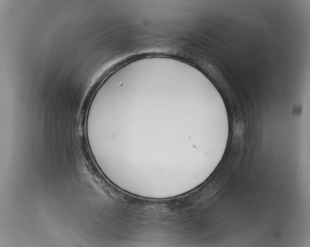 X0000114150628200911051443
