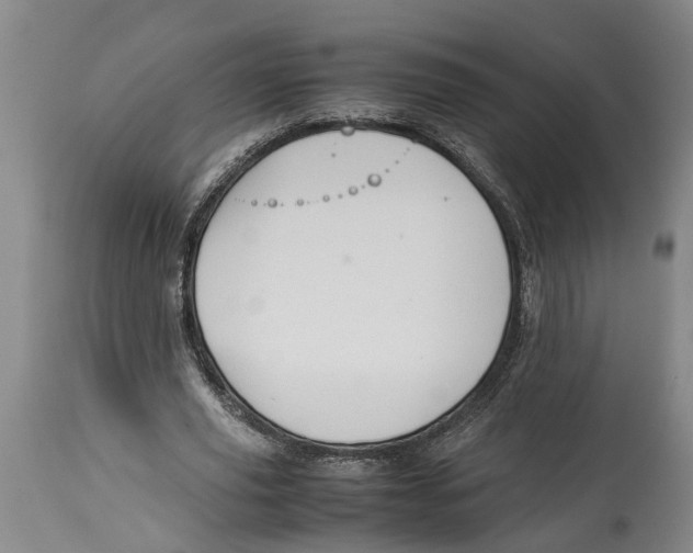 X0000114150629200911051443
