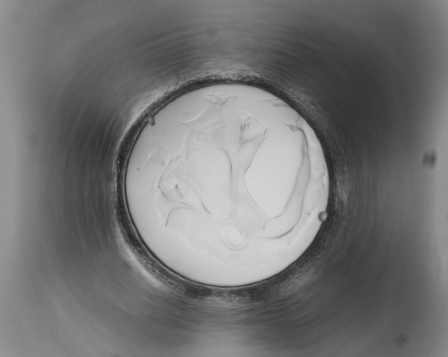 X0000114150630200911051443
