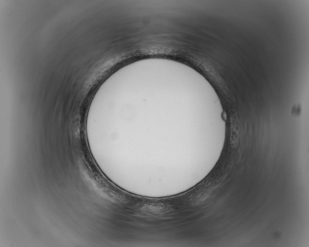 X0000114150631200911051443