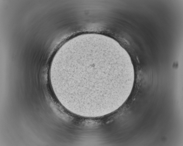 X0000114150632200911051443