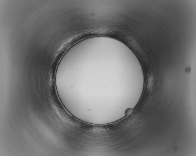 X0000114150636200911051443