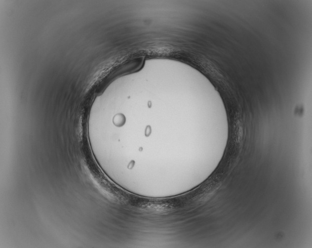 X0000114150638200911051443