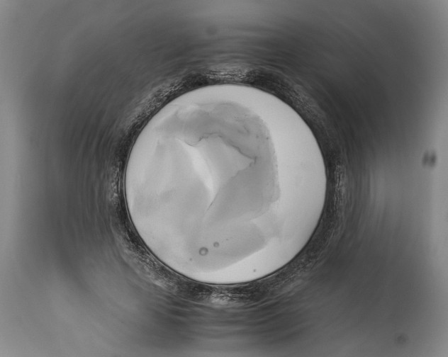 X0000114150641200911051443