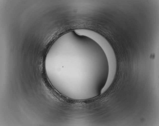 X0000114150642200911051443