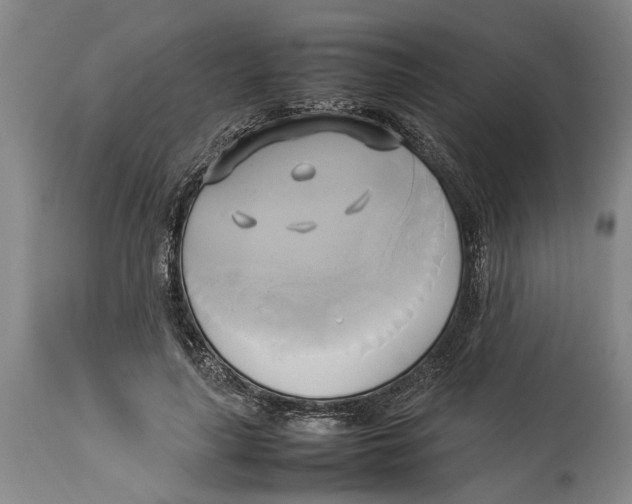 X0000114150643200911051443