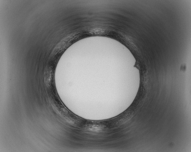 X0000114150645200911051443