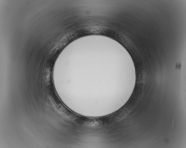 X0000114150646200911051443