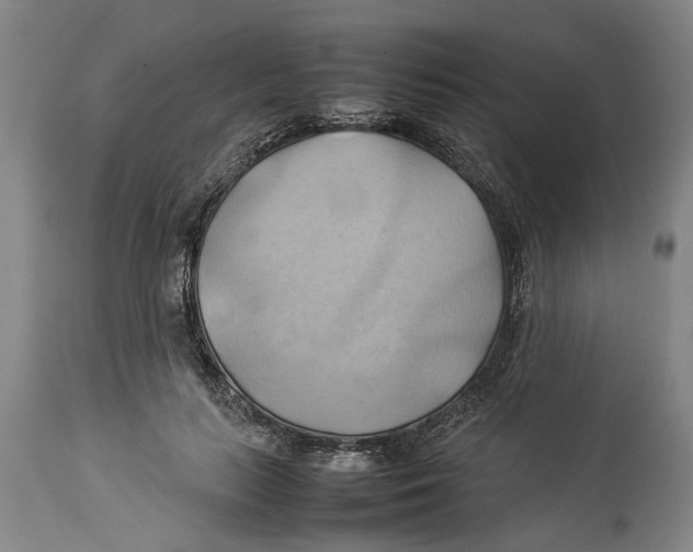 X0000114150647200911051443