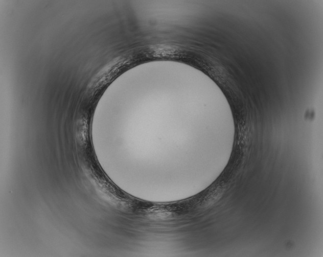X0000114150648200911051443