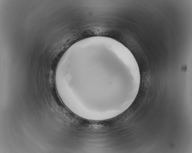 X0000114150650200911051443