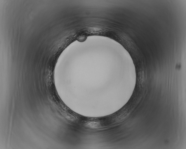 X0000114150653200911051443