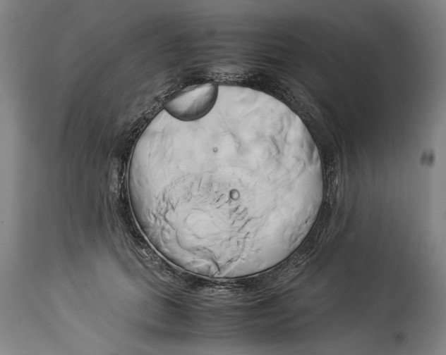 X0000114150655200911051443