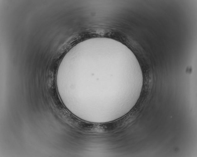 X0000114150656200911051443