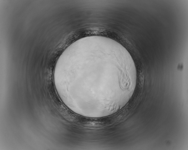 X0000114150657200911051443