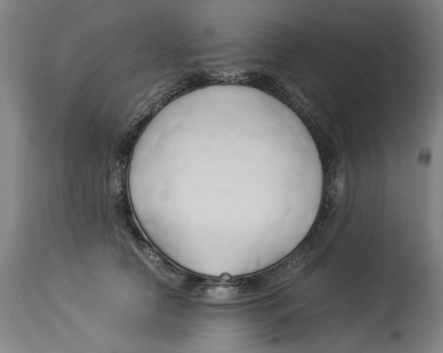 X0000114150658200911051443