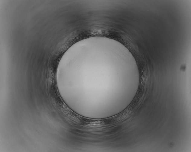 X0000114150659200911051443